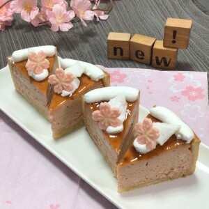 桜のベイクドチーズケーキ