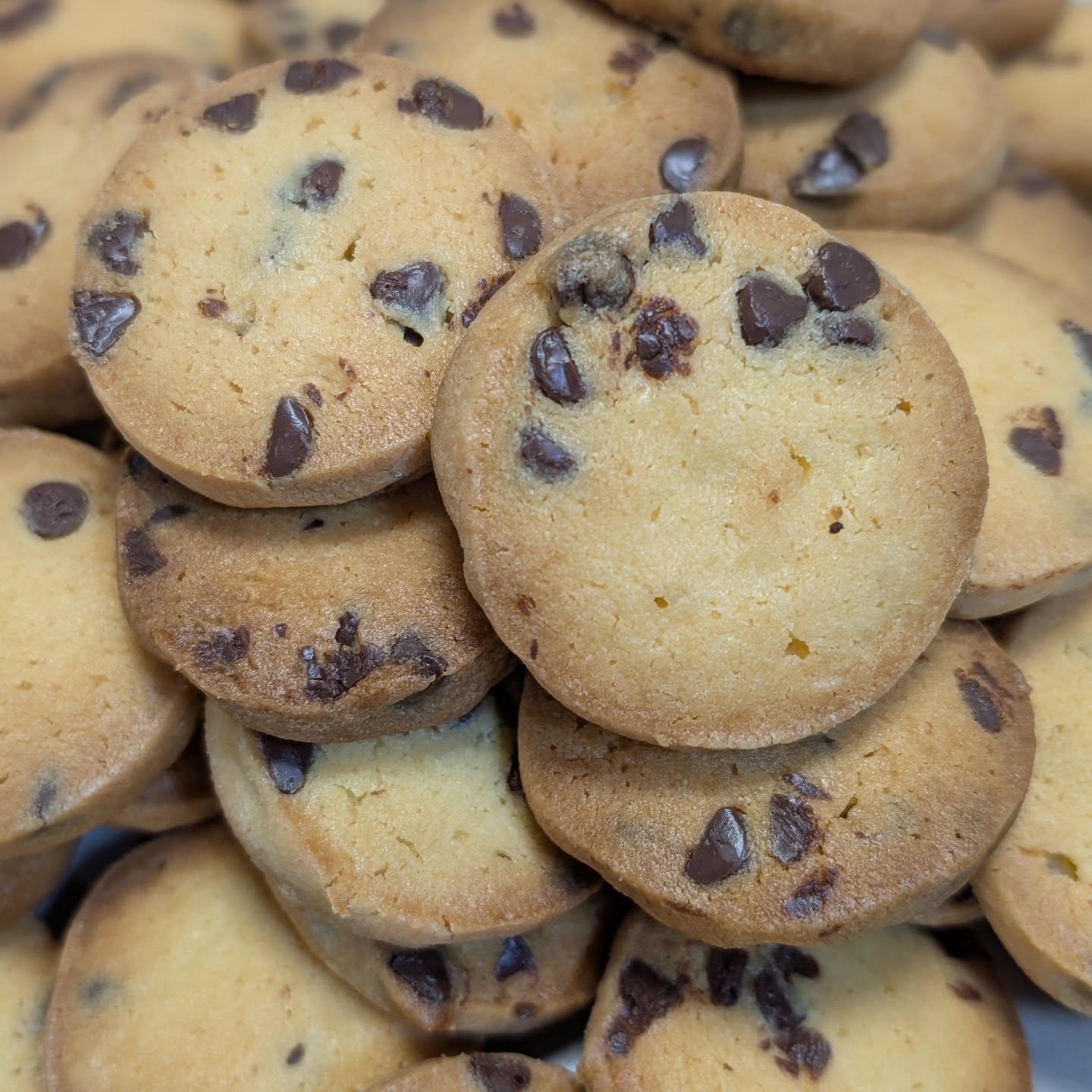 チョコチップクッキー🍪